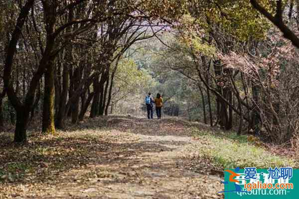 無錫軍嶂古道徒步路線推薦？