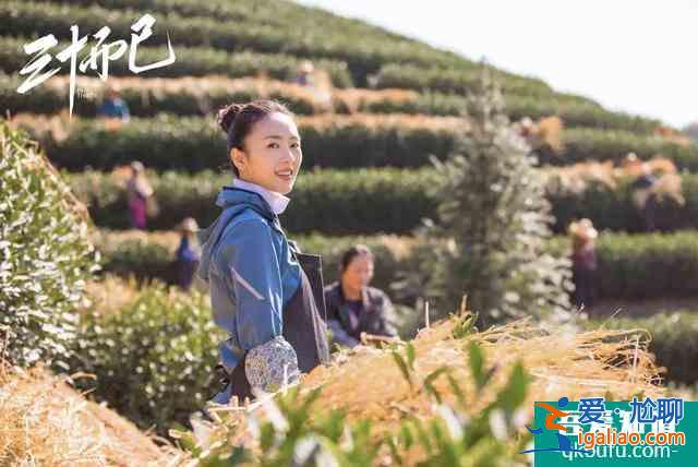 《三十而已》大結局：鐘曉芹復婚，許幻山坐牢，林有有下場不解恨？