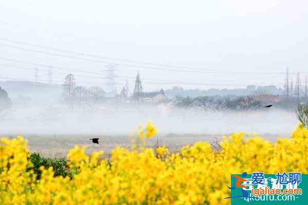 無錫斗山徒步路線及風光介紹？