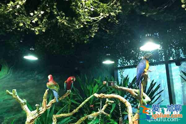 長沙開福區有哪些地方適合親子游？