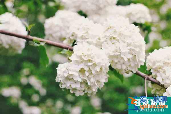 長沙開福區有哪些地方適合親子游？