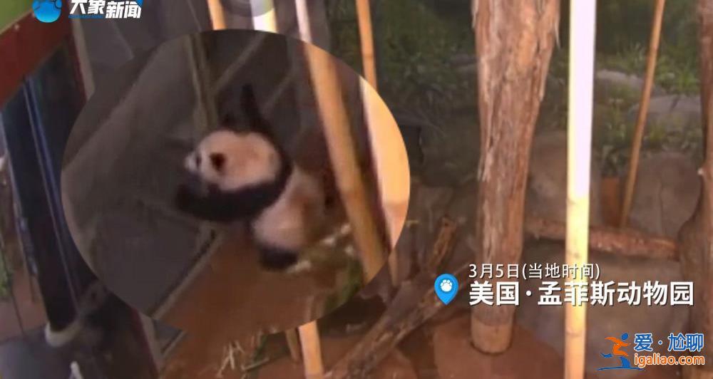 已做好準(zhǔn)備 暫無法給出準(zhǔn)確消息？
