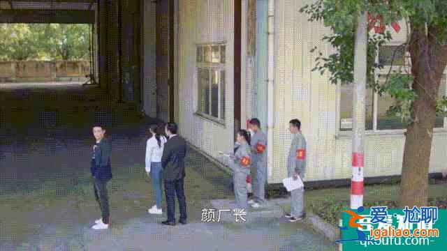 《三十而已》不是劇情而已？