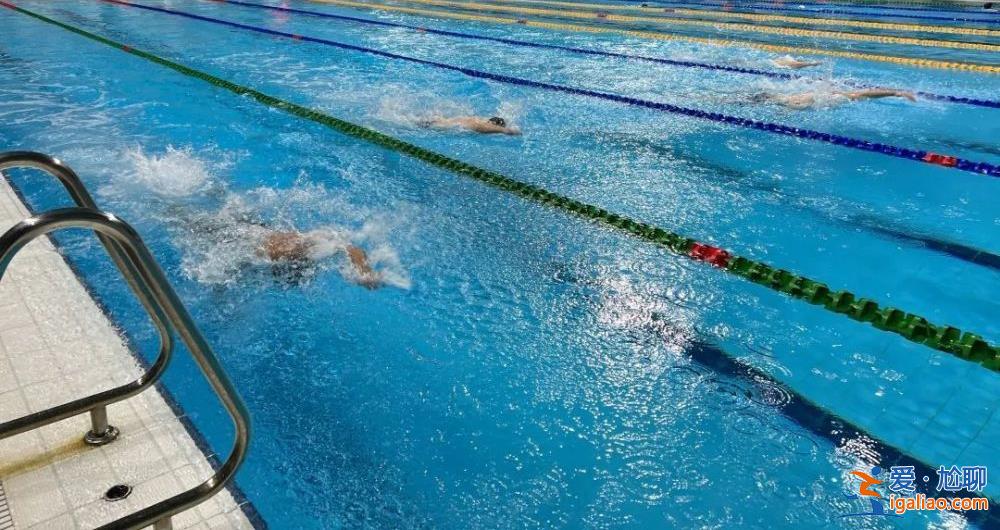 呼和浩特體育中心設女性專用泳道 此前曾作問卷公開征求建議? 呼和浩特體育中心設女性專用泳道 此前曾作問卷公開征求建議?