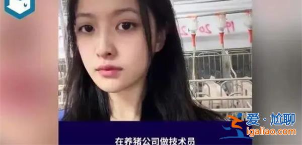 24歲高顏值女孩回應大學畢業養豬 年薪10萬元左右？