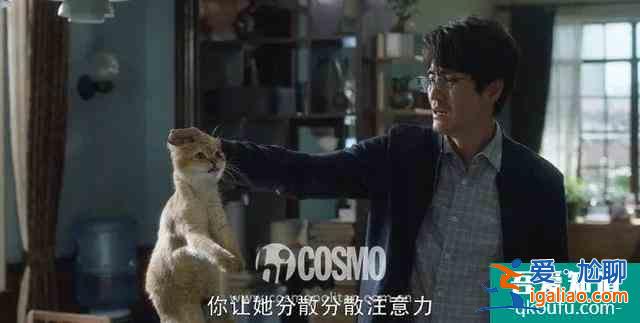 《三十而已》的男性角色，真沒有令人失望？