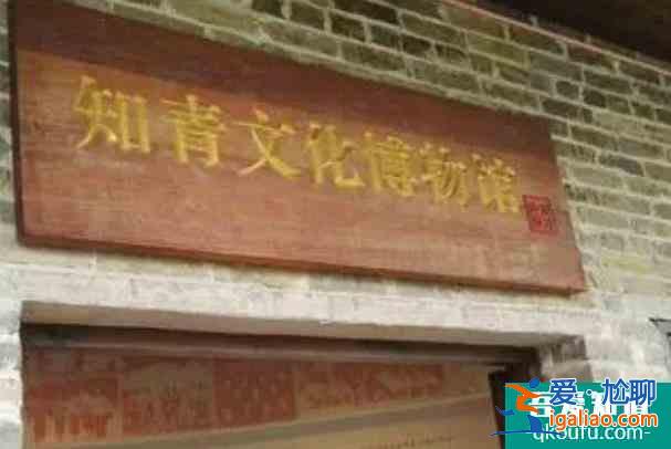 2021受疫情影響興安漠川第三屆銀杏旅游節延期舉行？