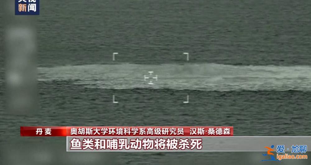 “北溪”爆炸事件兇手找到了？德國查到一艘涉嫌參與爆炸案的船只？