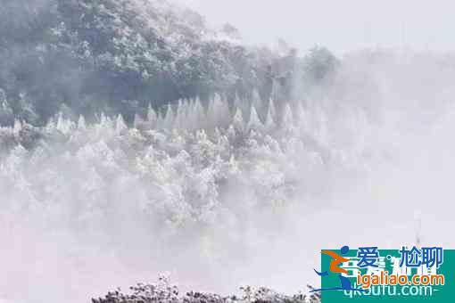 2月7日起天臺山景區(qū)內(nèi)宗教場所恢復(fù)對外開放？