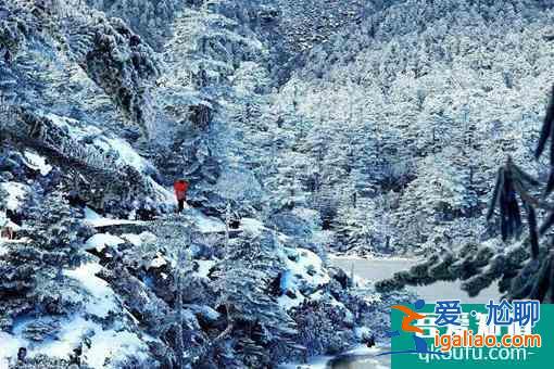 2022螺髻山景區恢復開園時間及最新防疫措施介紹？