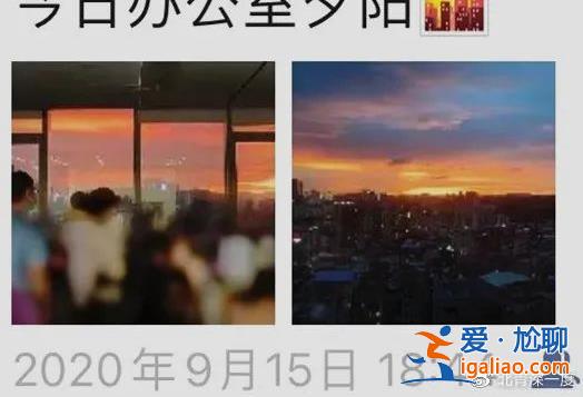 告別精致的白領生活 成為一名屠宰廠女工？