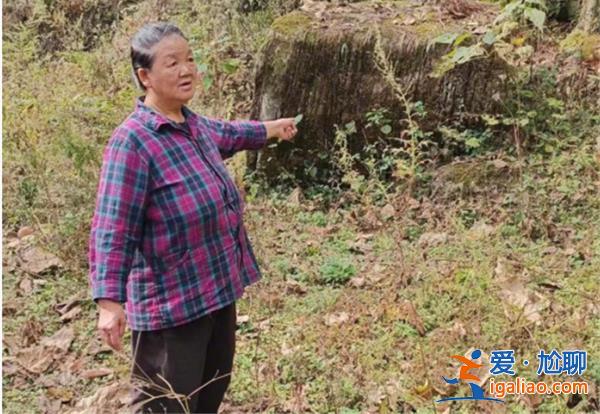 34年前一懷孕女子被拐，，，成年后的兒子帶母追責[兒子]？