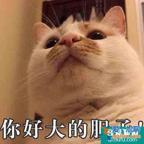《三十而已》：鐘曉芹和陳養魚可能去了一個假醫院？