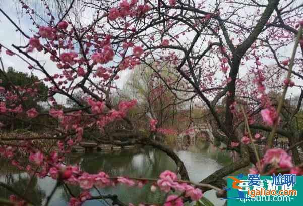 2022杭州超山梅花節(jié)時間及門票價格？