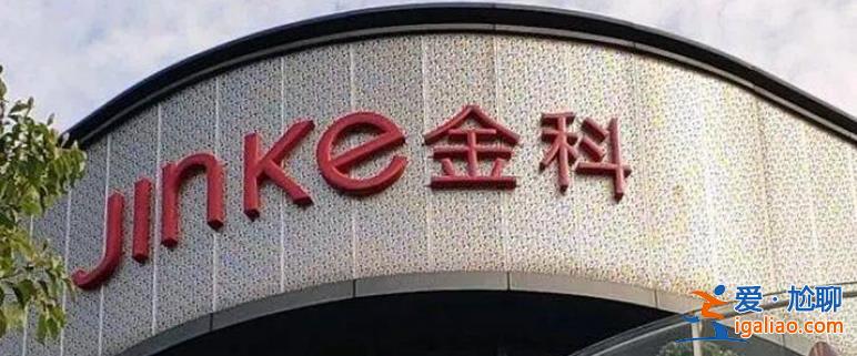黃紅云前妻競拍下金科股份成為個人第四大股東？