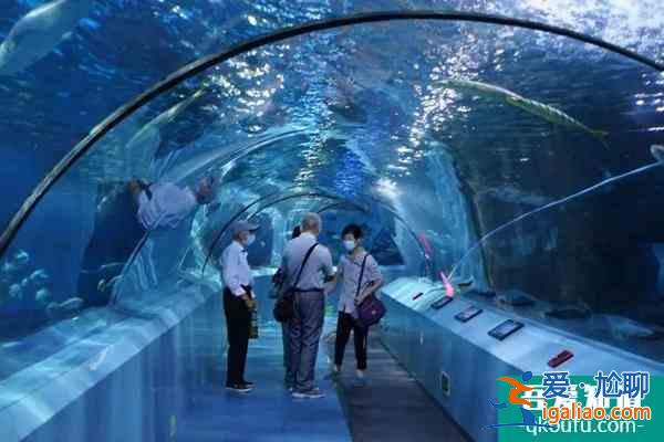 南京情人節適合情侶的好去處2022？