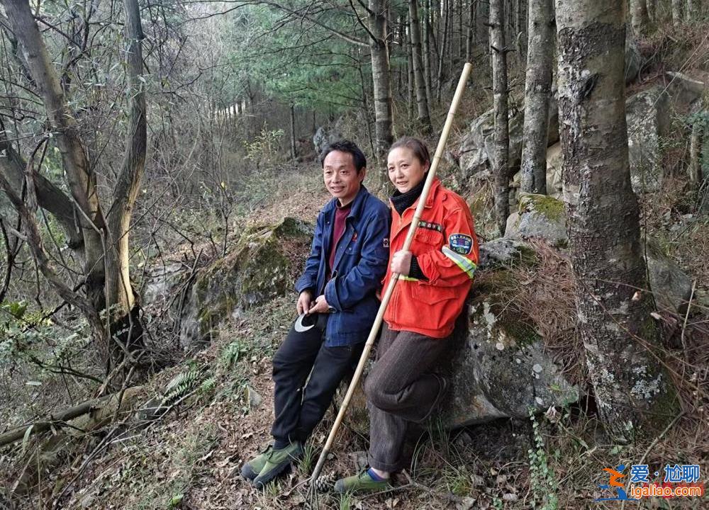 26年 一個(gè)女人和她守護(hù)的那片森林……？