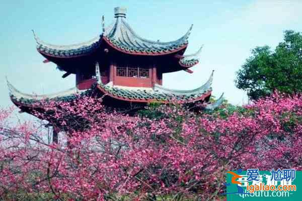 2022杭州超山梅花節(jié)開幕時(shí)間及亮點(diǎn)一覽？