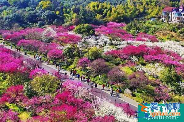 2022杭州超山梅花節(jié)開幕時(shí)間及亮點(diǎn)一覽？