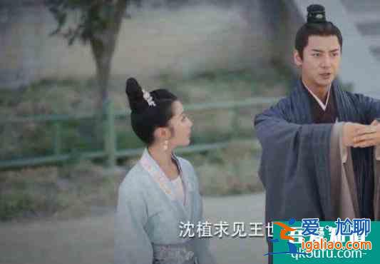 《錦繡南歌》最讓人心疼的三個角色:謝王妃結局最慘王子衿最孤單? 《錦繡南歌》最讓人心疼的三個角色:謝王妃結局最慘王子衿最孤單?