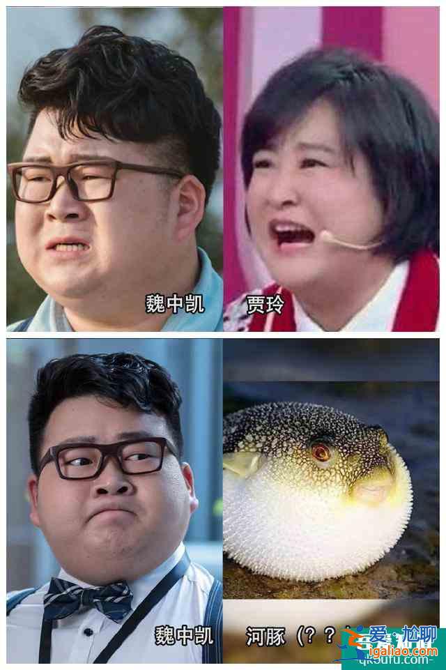 《抬頭有星光》堪稱年度撞臉大劇:袁姍姍藍盈瑩喬振宇歡迎來找茬？