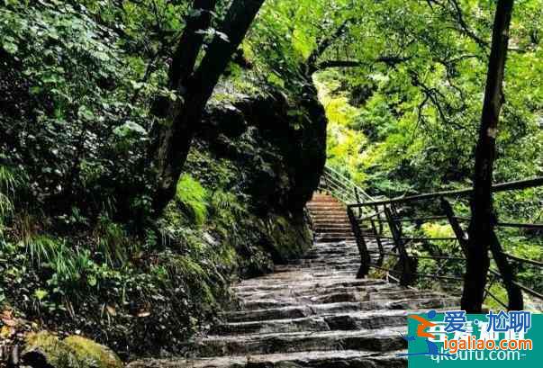 2022翠華山優(yōu)惠年卡在哪里購買及價格多少錢？
