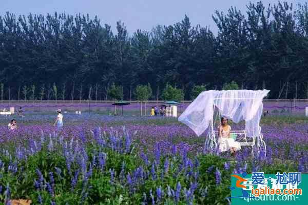 北京情人節(jié)去哪里玩比較好2022 北京情人節(jié)哪里最浪漫？