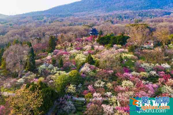 南京春季游玩好去處 春游最適合去的地方？