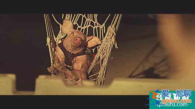 網(wǎng)劇版《唐人街探案》,網(wǎng)友說把男主邱澤換掉就更精彩了? 網(wǎng)劇版《唐人街探案》,網(wǎng)友說把男主邱澤換掉就更精彩了?