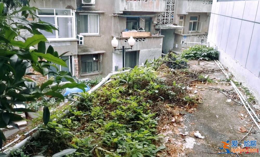 涉事民警為疏忽自責 當事女生被疑誣告很委屈？