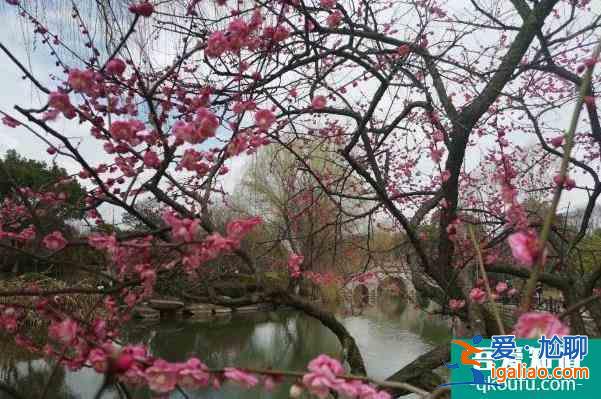 2022杭州超山風景區門票優惠？