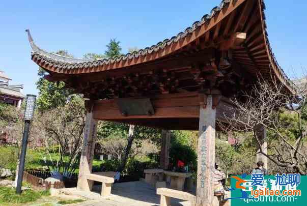2022杭州超山風景區門票優惠？