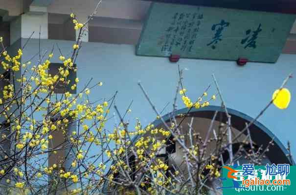 2022無錫梅園賞梅最佳時間 梅花開放時間？