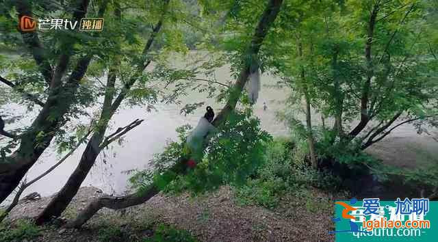 為什么《那江煙花那江雨》算不上《延禧攻略》2.0? 為什么《那江煙花那江雨》算不上《延禧攻略》2.0?