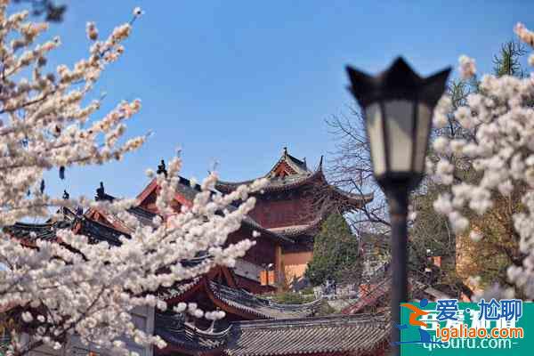 2022南京各大寺廟春節期間開放嗎？