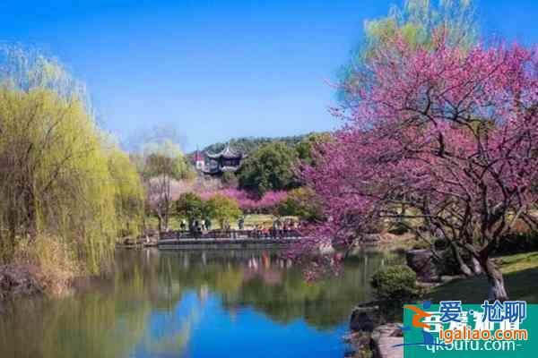 2022杭州超山門票多少錢 有什么好玩的？