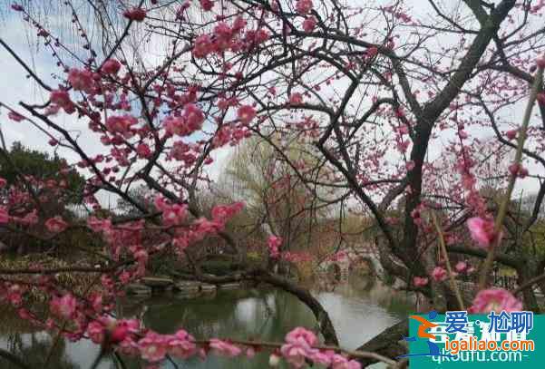 2022杭州超山風(fēng)景區(qū)門票價(jià)格調(diào)整 冬季賞梅攻略？