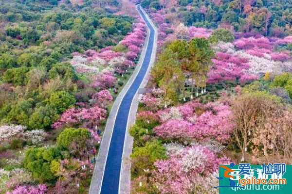 2022超山風(fēng)景名勝區(qū)門(mén)票多少錢(qián) 附優(yōu)惠政策？