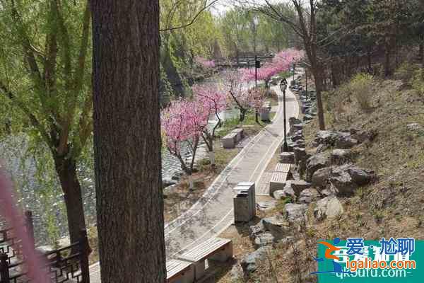 北京圓明園踏青節時間門票及交通介紹？