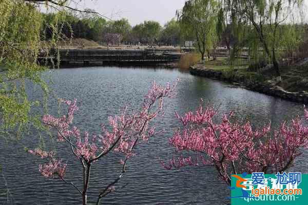 北京圓明園踏青節時間門票及交通介紹？