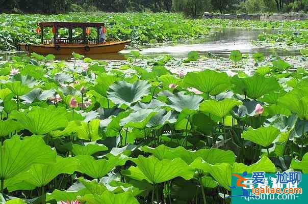 北京圓明園劃船價格及營業(yè)時間介紹？