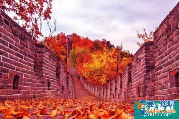 北京慕田峪長城楓葉什么時候紅?什么時候最好看?？