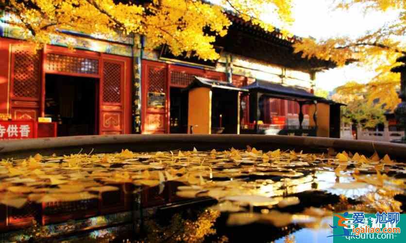 北京慕田峪長城一日游攻略？