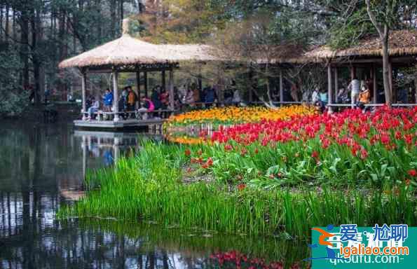 2022杭州西湖太子灣公園要門票嗎？
