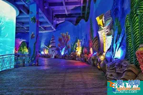2022福州海洋館哪個最好玩 福州海洋館排行榜？