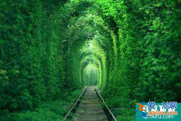 南京十大拍照圣地 南京適合拍照的地方景點? 南京十大拍照圣地 南京適合拍照的地方景點?