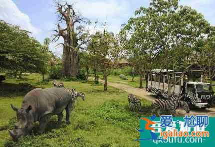 北京八達嶺野生動物園門票多少錢(附優惠信息)？