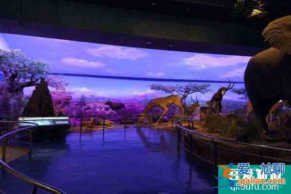 2022受疫情影響天津自然博物館將于1月11日臨時(shí)閉館？