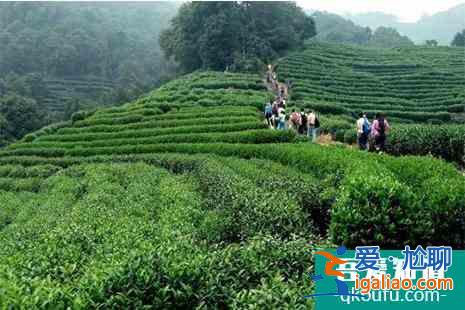 杭州西湖春天登山攻略(附路線)？