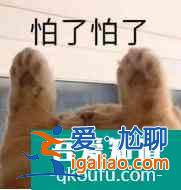 貢米米熱主演，炸毛醫(yī)女遇上腹黑帝王，反套路的古言劇居然這么甜？